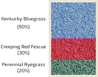 All Purpose Grass Seed Makeup