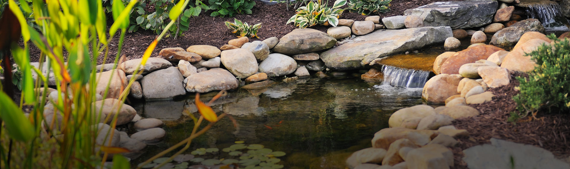 Landscaped yard with pond