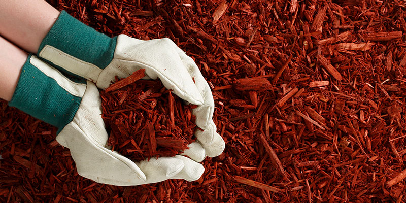 Rustic Red Mulch