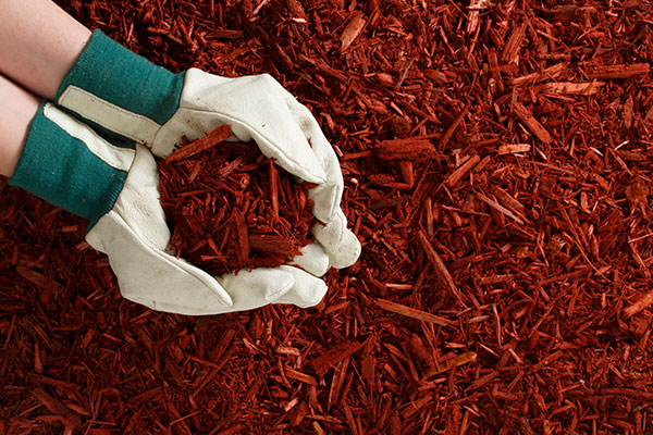Coloured Mulch