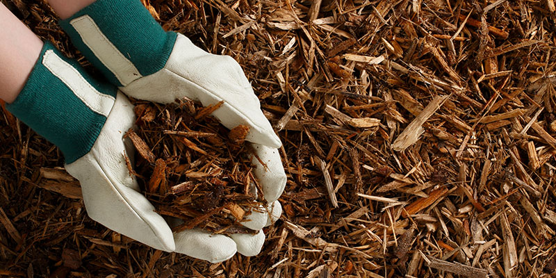 Pine Bark Mulch